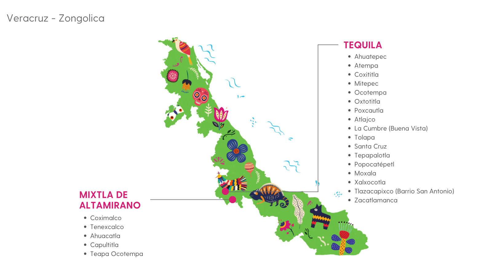 Mapa Veracruz Zongolica