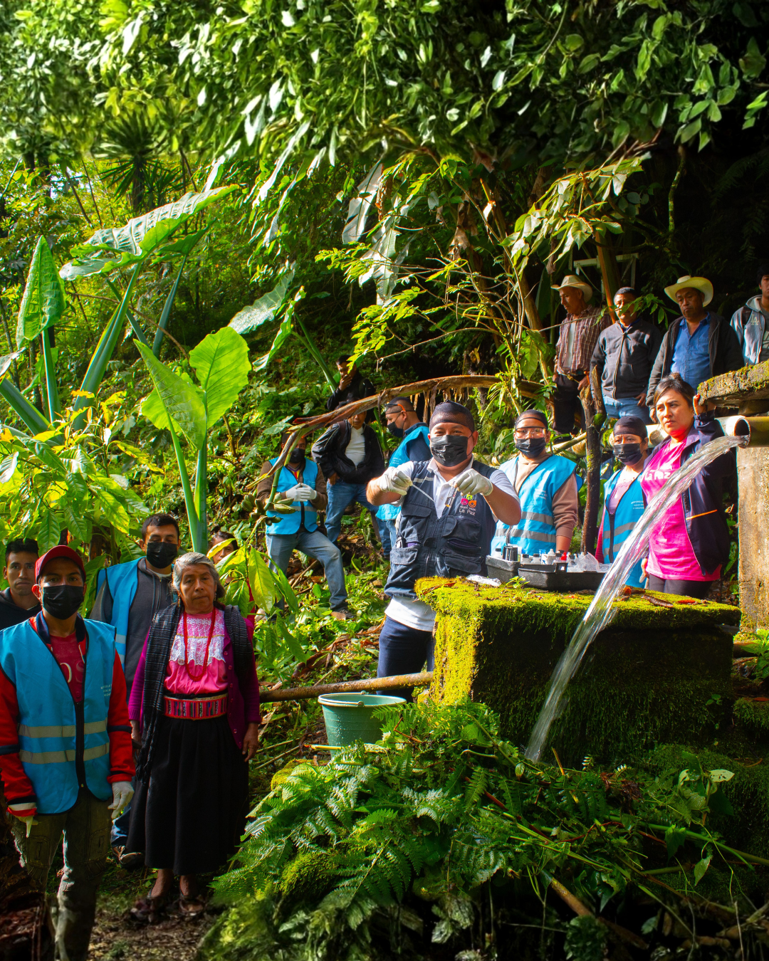 Foto Sierra Zongolica